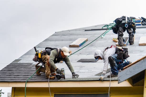 Professional Gutter Installation technician working in Riceboro, GA